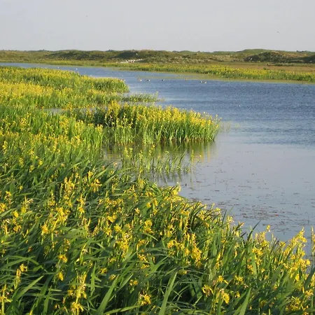 Getaway In Texel Haven Villa *